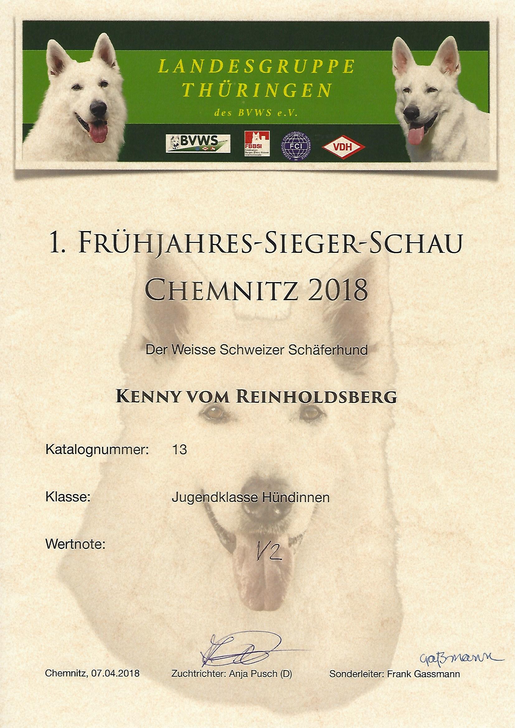 Kenny vom Reinholdsberg in Chemnitz 2018 BOB